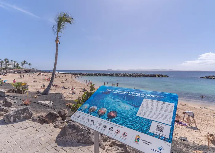 Apartmán Playa Flamingo C *